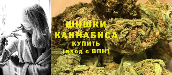 mdpv Краснослободск