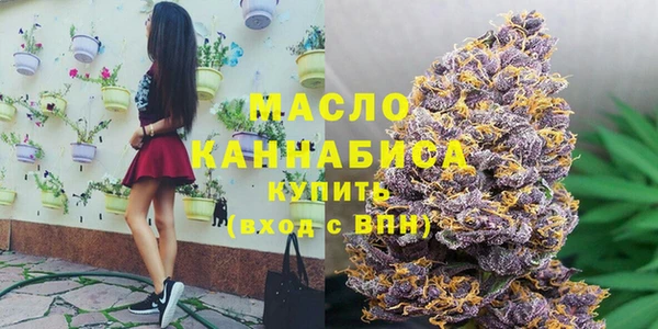 mdpv Краснослободск