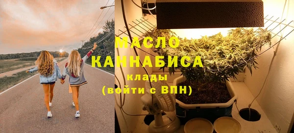 mdpv Краснослободск